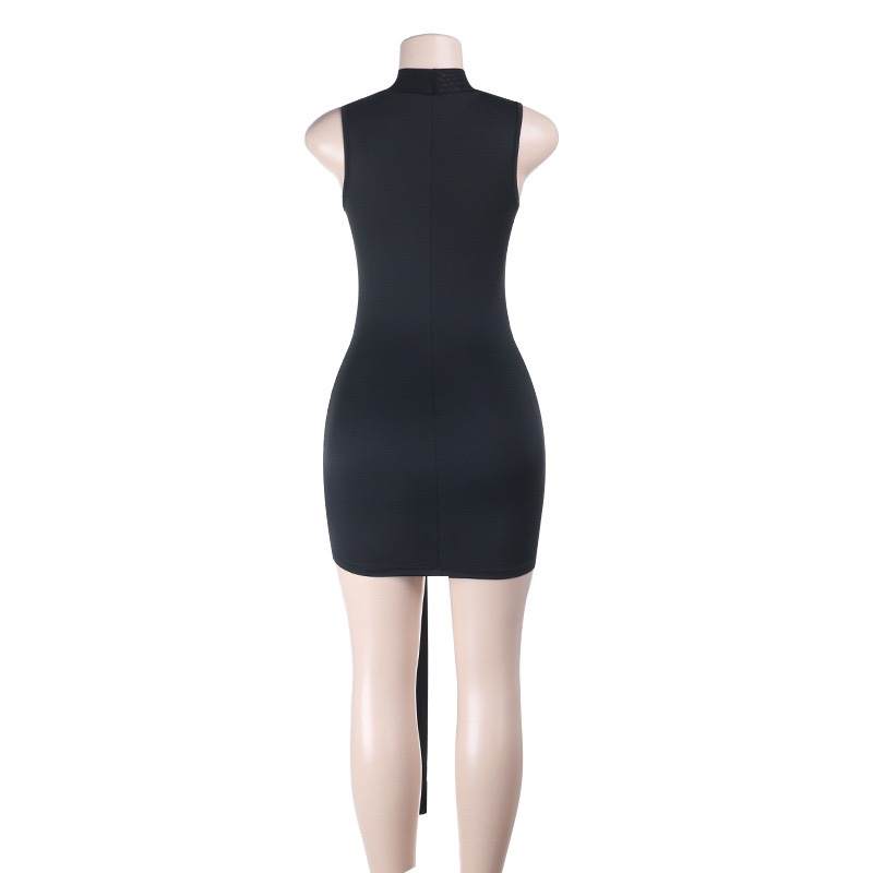 Mesh Sleeveless Dress