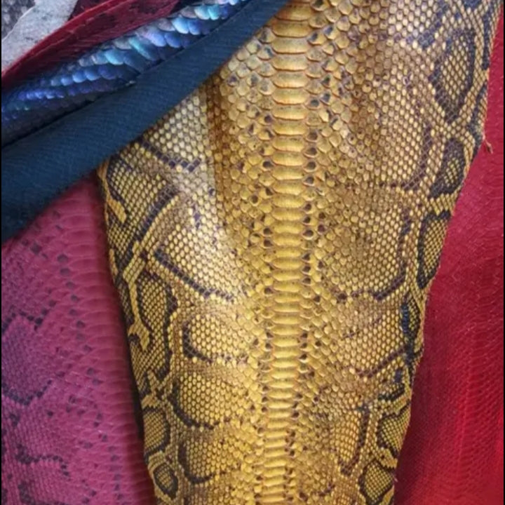 DON JOHN Python Sneakers Available In Several Colors Unisex