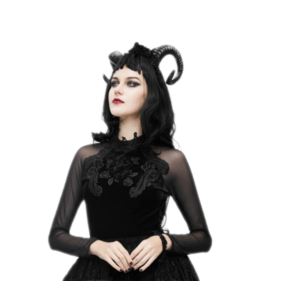 ETT005 Eva Lady Mesh Sleeve Black Lace Rose Gothic Velvet Steampunk Shirt Women's